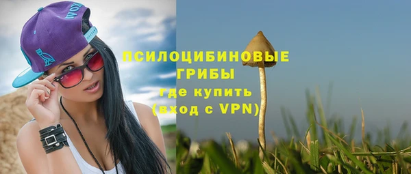 jwh Бородино