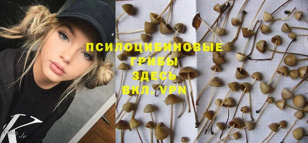 jwh Бородино