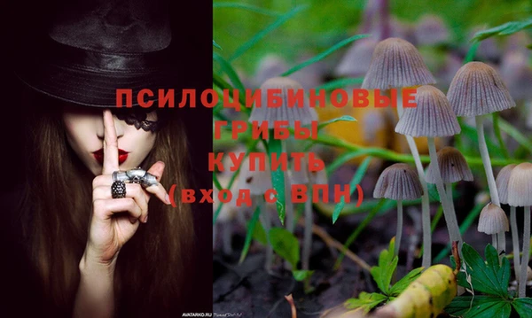 гашиш Володарск