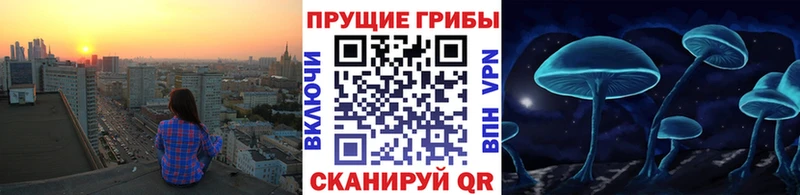 Псилоцибиновые грибы MAGIC MUSHROOMS Белоярский